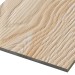 Фиброцементные панели FCSPRO Decor Wood Лиственница купить в 
